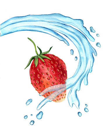 watercolor drawing strawberry with water splash, appetite red berry with green leaves and drops isolated at white background, hand drawn illustrationの写真素材
