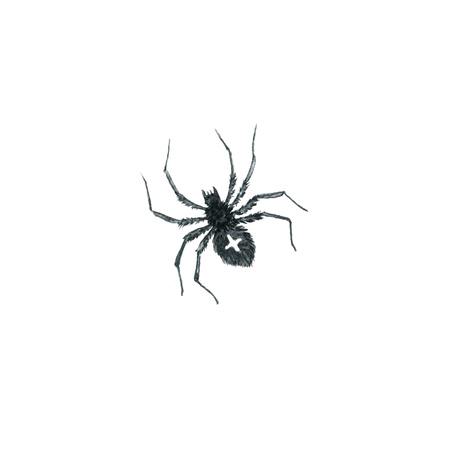 watercolor cartoon spider, halloween symbol, hand drawn illustration