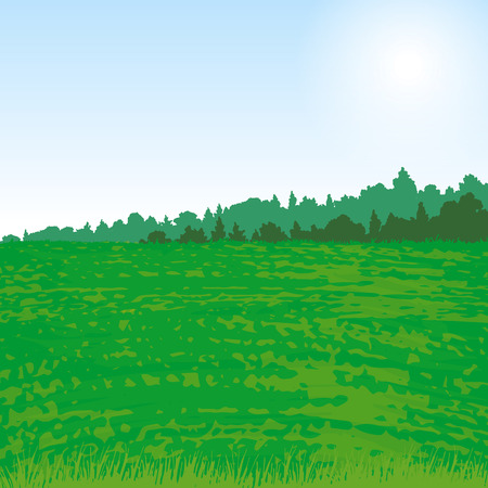 valley landscape with forest and grass, nature background, green field and trees, hand drawn vector illustrationのイラスト素材