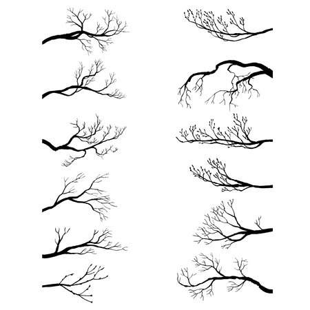 set of tree branches without leaves, winter twigs,isolated hand drawn vector elementsのイラスト素材