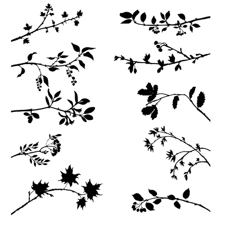 set of tree branches with leaves and berries,fruit trees twigs,isolated hand drawn vector elementsのイラスト素材