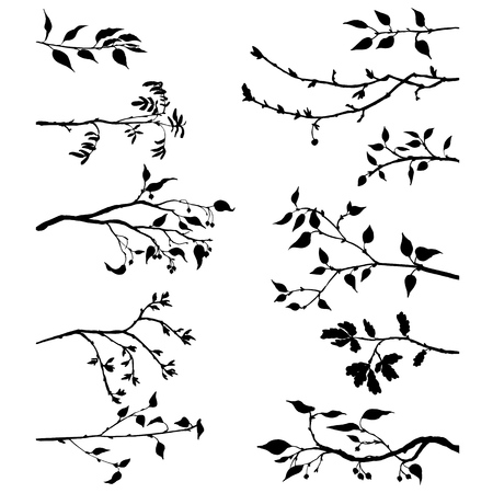 set of tree branches with leaves and berries,fruit trees twigs,isolated hand drawn vector elementsのイラスト素材