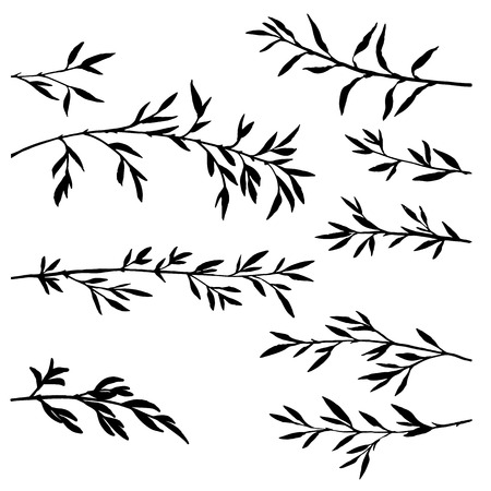 set of tree branches with leaves, bamboo shoots,isolated hand drawn vector elementsのイラスト素材