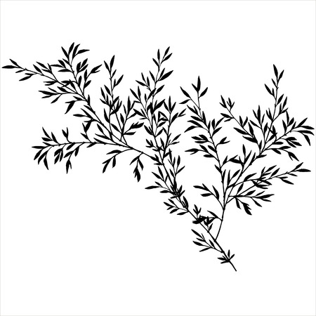 tree branches with leaves, bamboo shoots,isolated hand drawn vector elementのイラスト素材