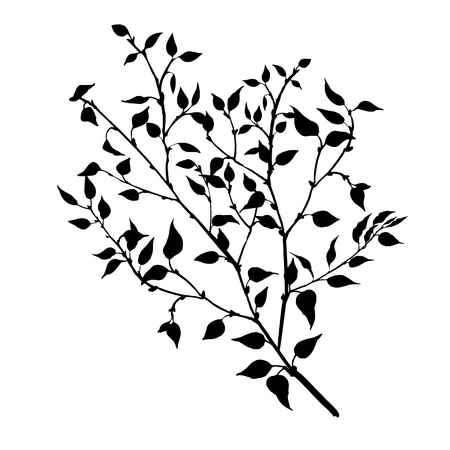 tree branches with leaves and berries, fruit trees twig,isolated hand drawn vector elementのイラスト素材