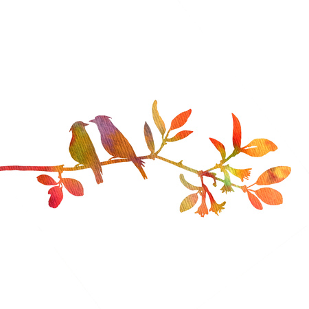 silhouettes of birds at tree, hand drawn waxwings at branch, Valentine symbol, a pair of lovers, color nature backgroundの写真素材