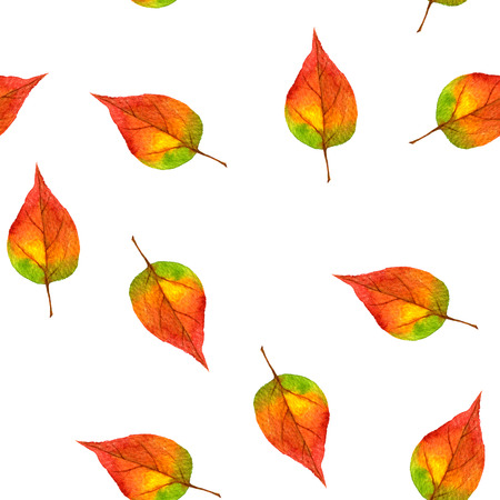 seamless pattern with realistic autumn watercolor multicolor leaves of tree, rainbow colors, hand drawn isolated design elementsの写真素材
