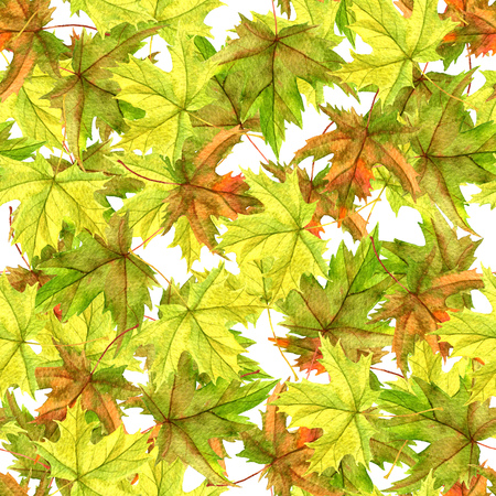 seamless patttern with realistic watercolor autumn leaves of maple tree, hand drawn nature background,floral ornamentの写真素材