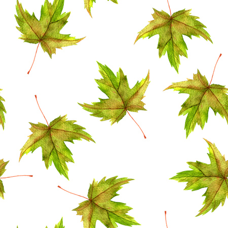 seamless patttern with realistic watercolor autumn leaves of maple tree, hand drawn nature background,floral ornamentの写真素材