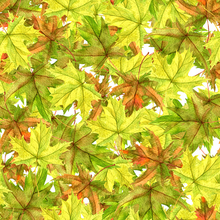 seamless patttern with realistic watercolor autumn leaves of maple tree, hand drawn nature background,floral ornamentの写真素材