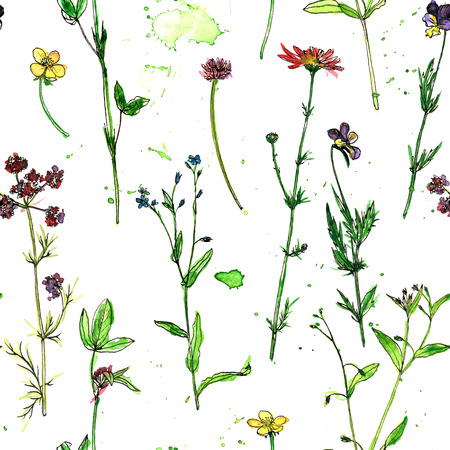 seamless pattern with watercolor and ink drawing wild flowers and herbs, painted field plants, color floral background, hand drawn natural ornamentの写真素材