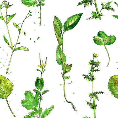 seamless pattern with watercolor and ink drawing wild flowers and herbs, painted field plants, color floral background, hand drawn natural ornamentの写真素材