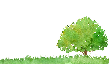 watercolor landscape with tree and grass, green foliage,abstract nature background, forest template, hand drawn illustrationの写真素材