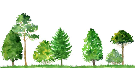watercolor landscape with deciduous trees,pine and firs, bushes and grass, abstract nature background, forest template, green foliage and plants, hand drawn illustrationの写真素材