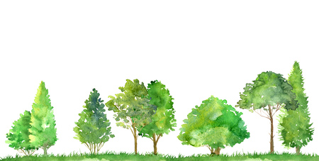 watercolor landscape with deciduous trees,pine and firs, bushes and grass, abstract nature background, forest template, green foliage and plants, hand drawn illustrationの写真素材