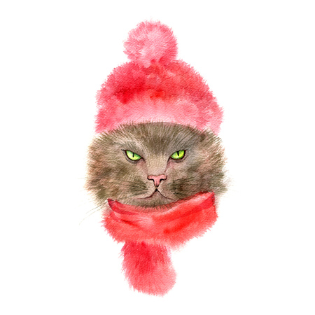 watercolor cat with knitted cap and scarf, hand drawn illustration, winter symbolの写真素材