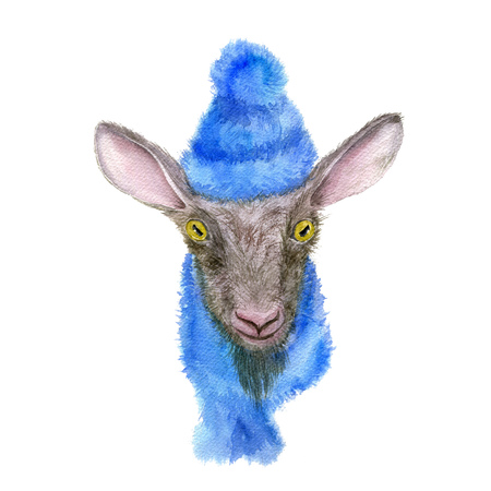 watercolor little cute goat kid with knitted cap and scarf, hand drawn illustration, winter symbolの写真素材