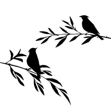 vector silhouettes of birds at tree, hand drawn songbirds at branches, Valentine symbol, a pair of lovers, isolated vector elementのイラスト素材
