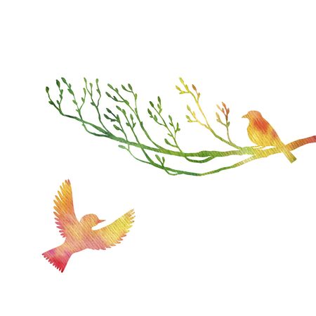 watercolor birds at tree silhouettesの写真素材