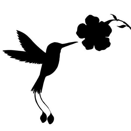 hummingbird and flower silhouettes, hand drawn flying bird, isolated vector elementのイラスト素材