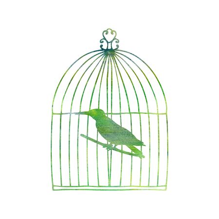 Bird in a cageの写真素材