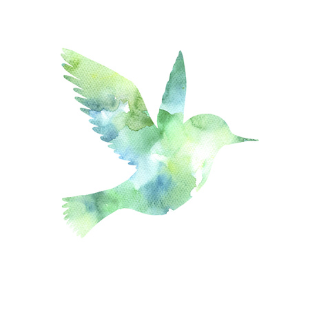 watercolor flying bird silhouetteの写真素材