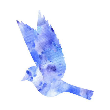 watercolor flying bird silhouetteの写真素材
