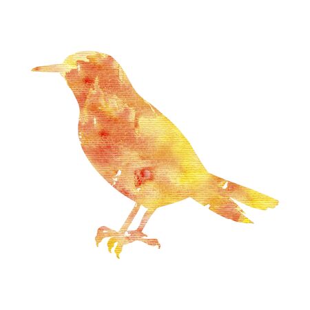 watercolor bird silhouetteの写真素材