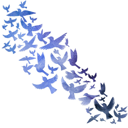 watercolor flying birds silhouettesの写真素材
