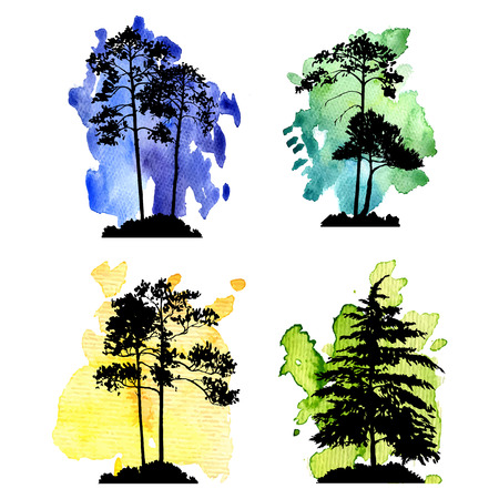 vector set of conifer treesのイラスト素材