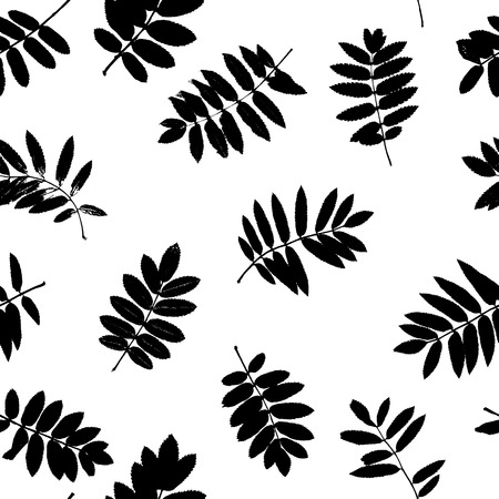 Vector seamless pattern with rowan leaves silhouettes, monochrome floral background, natural illustrationのイラスト素材