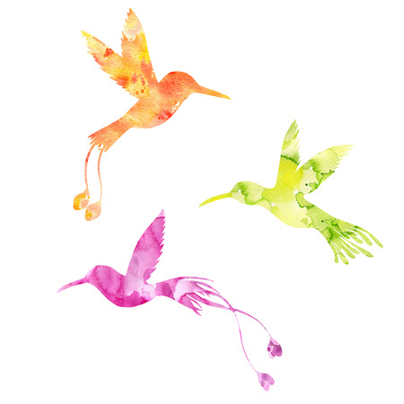 watercolor hummingbird silhouettesの写真素材