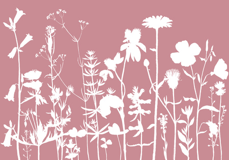 Vector background with drawing wild plants, herbs and flowers, monochrome botanical illustration in vintage style, silhouette floral templateのイラスト素材