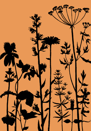 Vector background with drawing wild plants, herbs and flowers, monochrome botanical illustration in vintage style, silhouette floral templateのイラスト素材