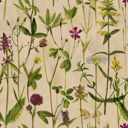 Seamless pattern with watercolor drawing flowers and plantsの写真素材