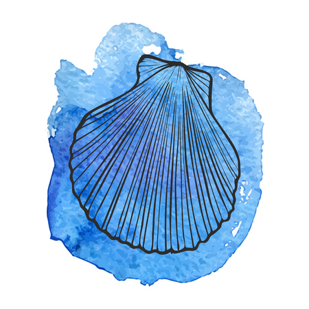 Vector sea shell at blue watercolor background, hand drawn illustrationのイラスト素材