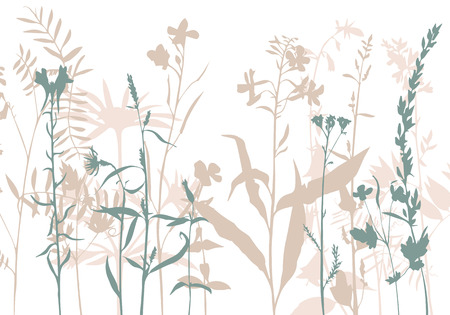 vector silhouettes of flowers and grassのイラスト素材