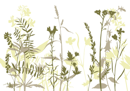 vector silhouettes of flowers and grassのイラスト素材