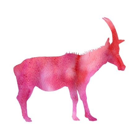 watercolor silhouette of antelope, hand drawn animal isolated at white backgroundの写真素材