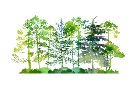 watercolor landscape with treesの写真素材