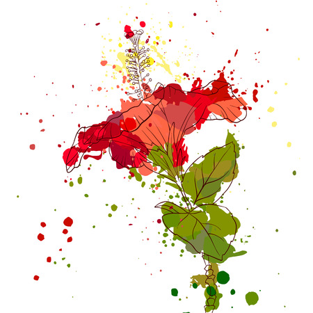 vector drawing hibiscus flowerのイラスト素材