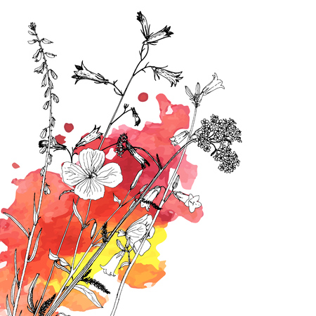 Vector background with drawing wild plants, herbs and flowers and paint stains, botanical illustration, natural floral templateのイラスト素材