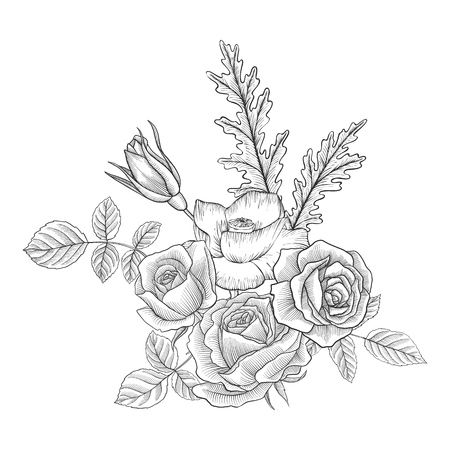 vintage vector floral composition with flowers, buds and leaves of roses, imitation of engraving, hand drawn design elementのイラスト素材