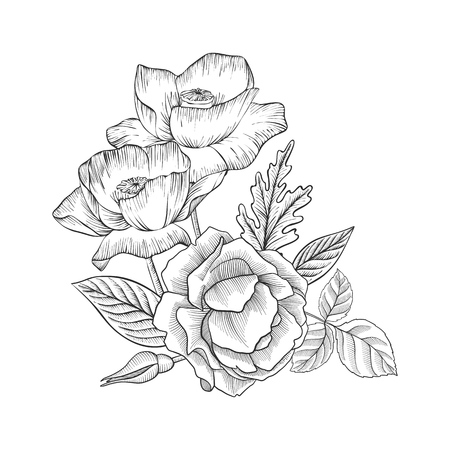 vintage vector floral composition with flowers, buds and leaves of roses, imitation of engraving, hand drawn design elementのイラスト素材