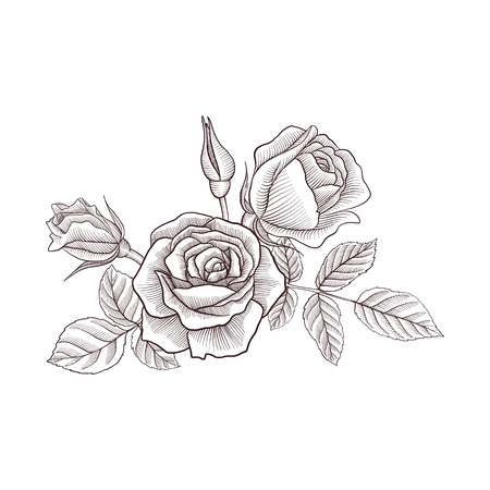 vintage vector floral compositionのイラスト素材