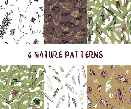 Set of seamless nature patterns with shells, pine cones, feathers and beatles, hand drawn vector illustration.のイラスト素材
