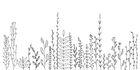 Background with drawing of herbs and flowersのイラスト素材