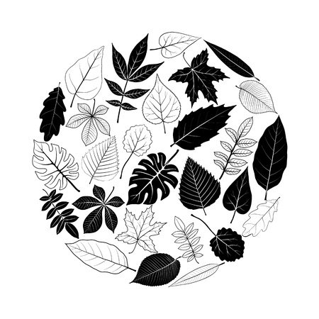Round template with tree leavesのイラスト素材