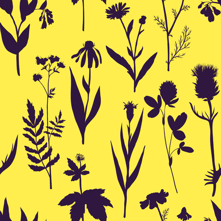 Vector seamless pattern with medical plantsのイラスト素材