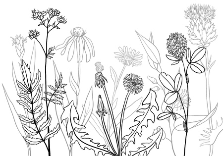 Vector medical plantsのイラスト素材
